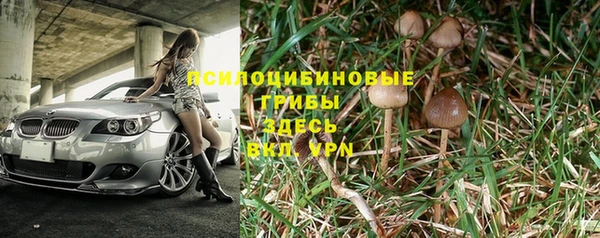 марки lsd Богданович