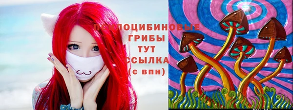 mix Богородск