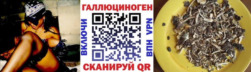 Псилоцибиновые грибы MAGIC MUSHROOMS Кировград